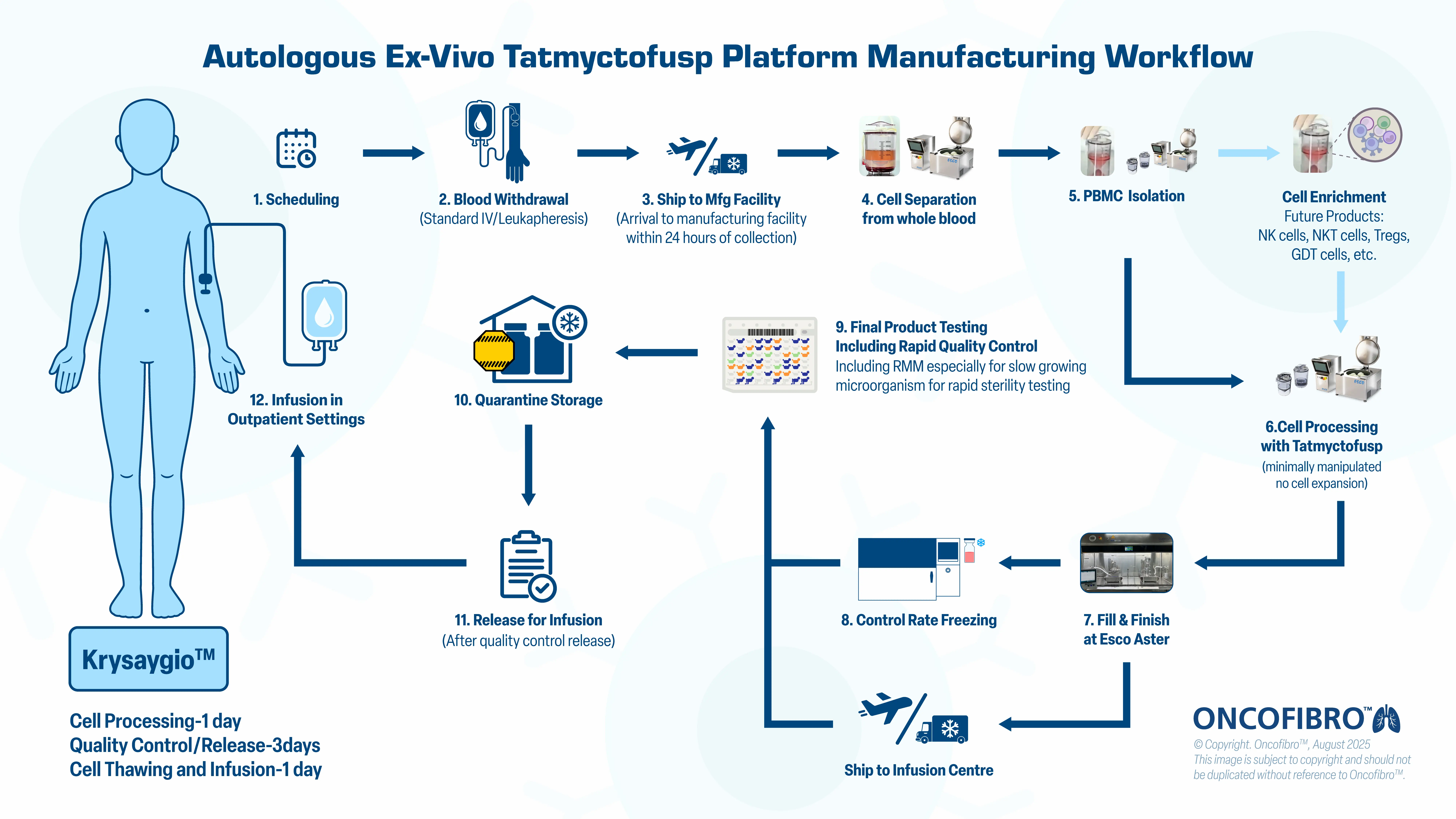 Decentralized Autologous Ex-vivo​​
